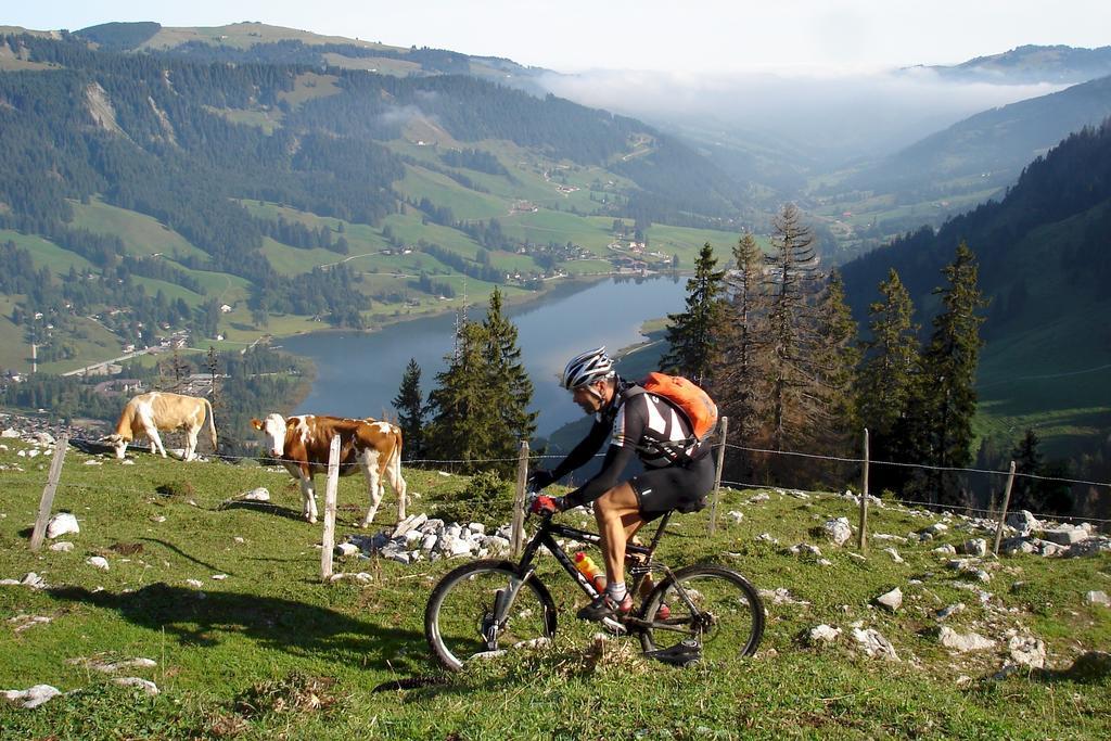 Am Schwarzsee 4*